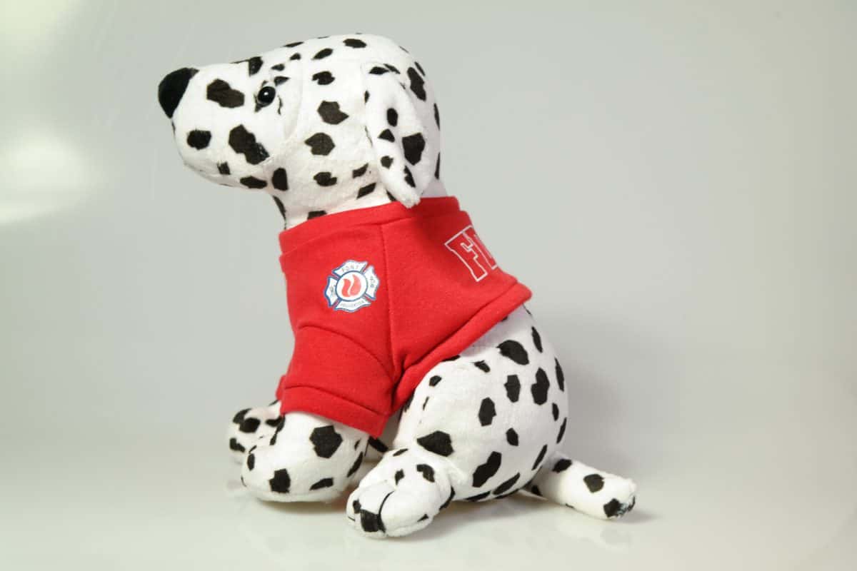 FDNY DALMATIAN PLUSH WITH T-SHIRT - Image 2