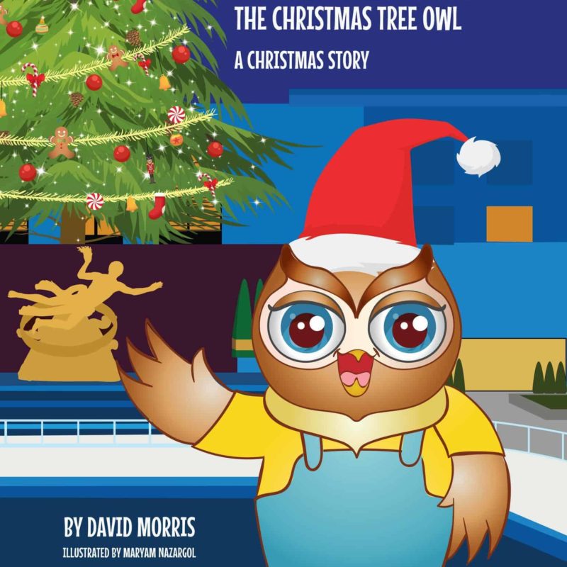 rocky the christmas tree owl