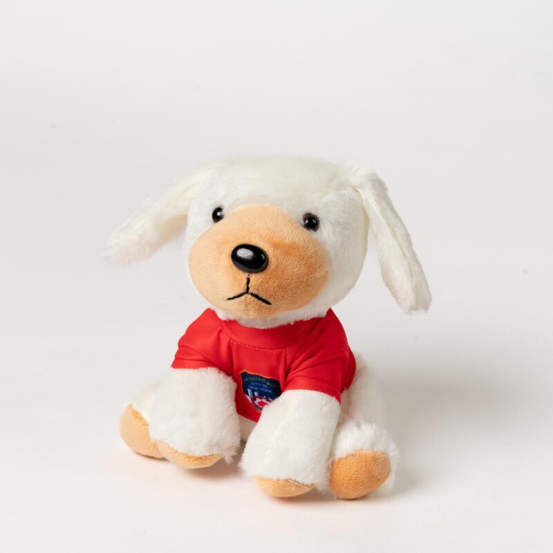 Toy Puppy Plush with T-Shirt