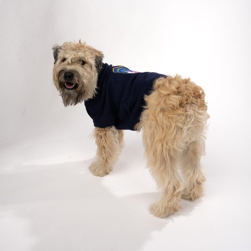 Dog FDNY Logo Turtleneck Sweater - Image 2