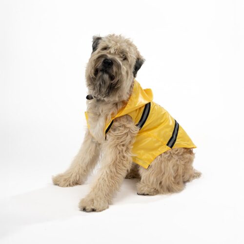 Dog FDNY Rain Jacket (2 Colors)