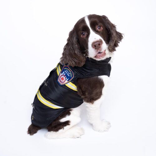 Dog FDNY Bunker Gear Coat